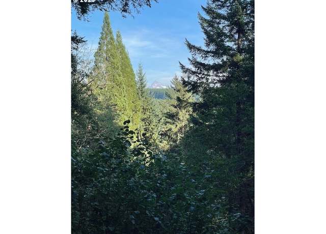 Property at 0 Matthews Rd #1, Washougal, WA 98671