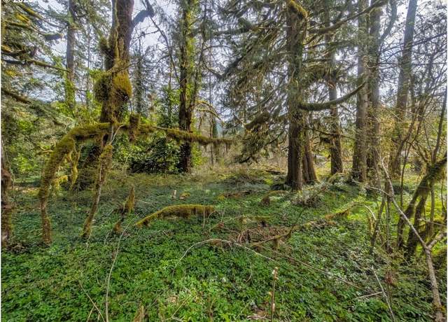 Property at 0 E Plaza Trl, Welches, OR 97067