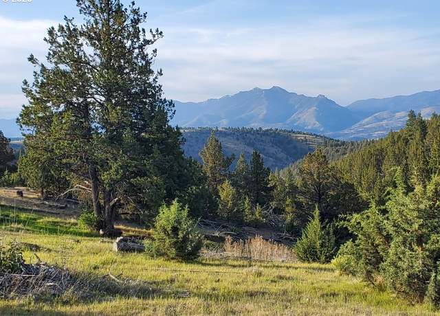 Property at Wiley Creek Rd, Dayville, OR 97825