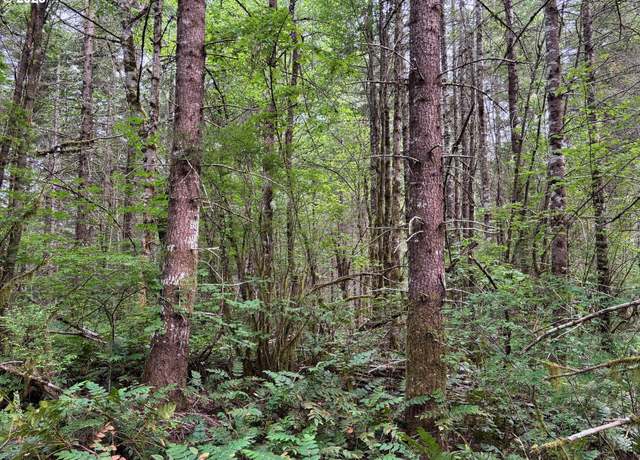Property at NW Pebble Creek Rd, Unknown, OR 97109