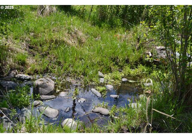 Property at Chief Joseph Way, Imnaha, OR 97842
