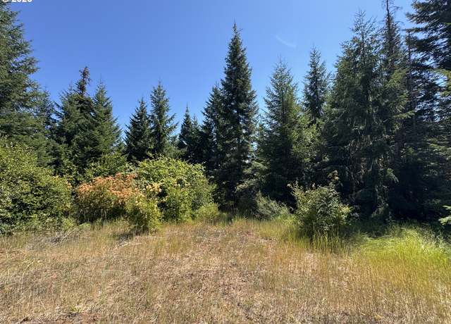 Property at Snowden, White Salmon, WA 98672