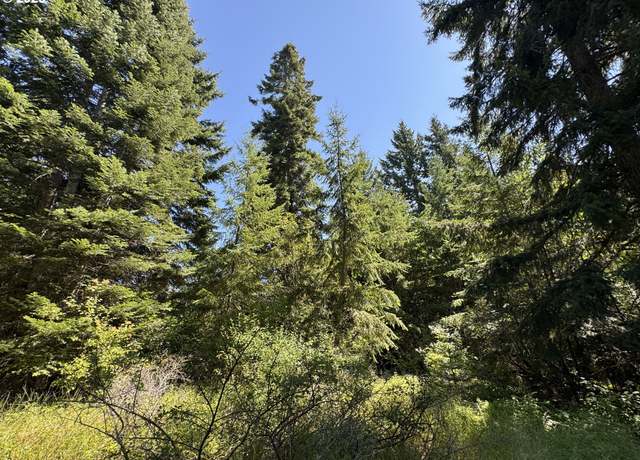 Property at Snowden, White Salmon, WA 98672