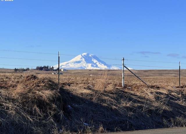 Property at 323 Roosevelt St, Centerville, WA 98613