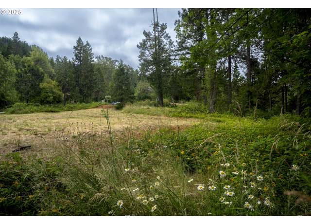 Property at 1588 Lone Rock Rd, Glide, OR 97443