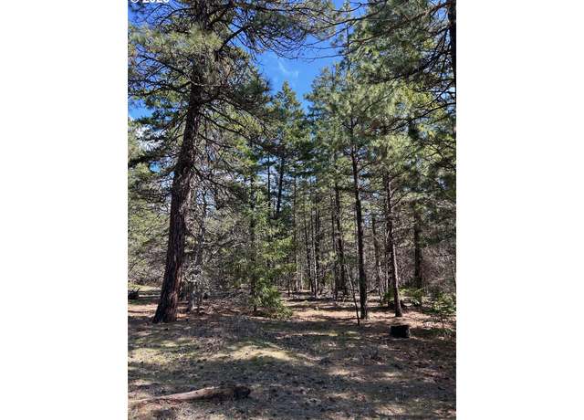 Property at Lot 3 Thompson Trl, Goldendale, WA 98620
