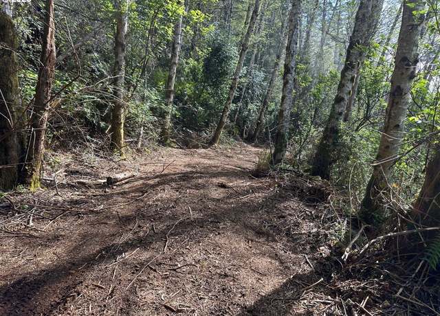 Property at Mountain Dr, Brookings, OR 97415