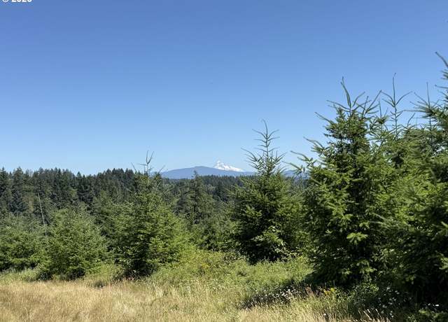 Property at 0 NE 277th Ave, Washougal, WA 98671