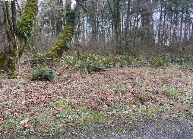 Property at 0 Forest Park Rd #19326, Rainier, OR 97048
