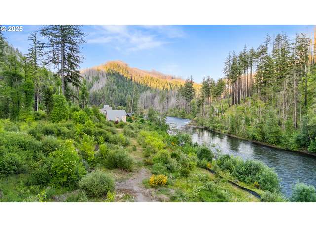 Property at 47688 Mckenzie Hwy, Vida, OR 97488