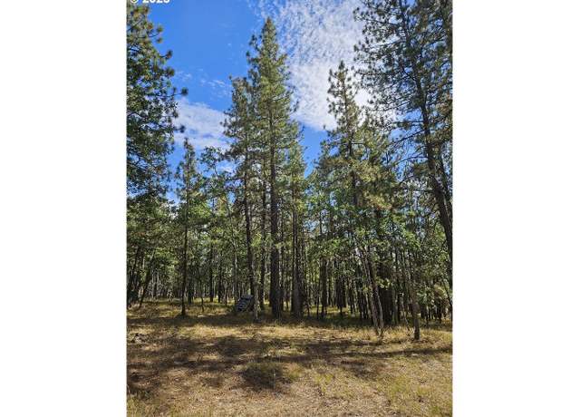 Property at 50 Jefferson Vis, Goldendale, WA 98620
