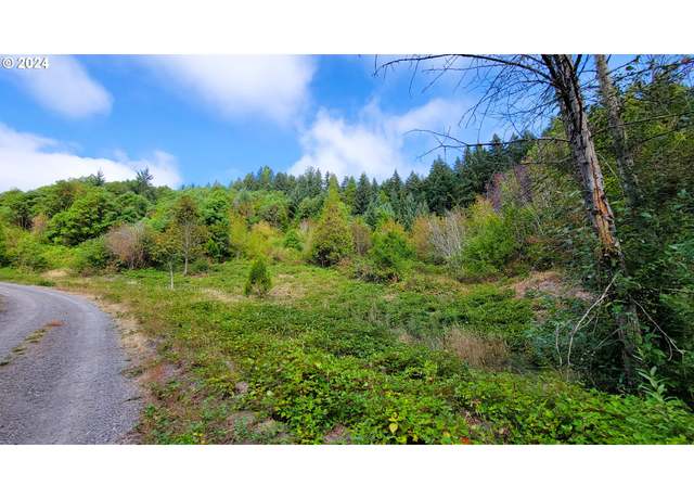Property at Laurel Butte #4800, Oakridge, OR 97463
