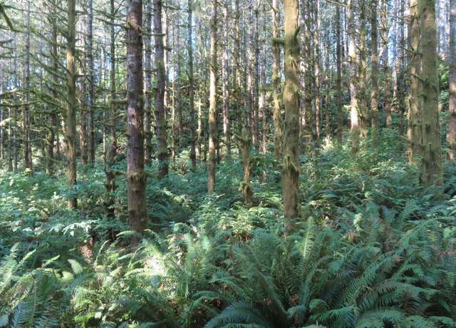 Property at State Hwy 4 #7, Grays River, WA 98621