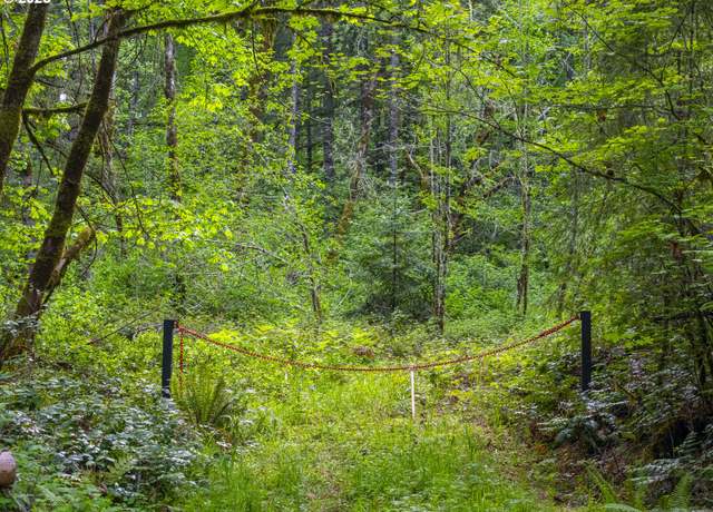 Property at Upper Calapooia Dr, Sweet Home, OR 97386