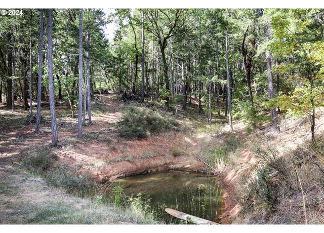 Property at Quartz Creek Rd, Merlin, OR 97532