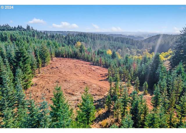 Property at NW Lodge Rd, Banks, OR 97106