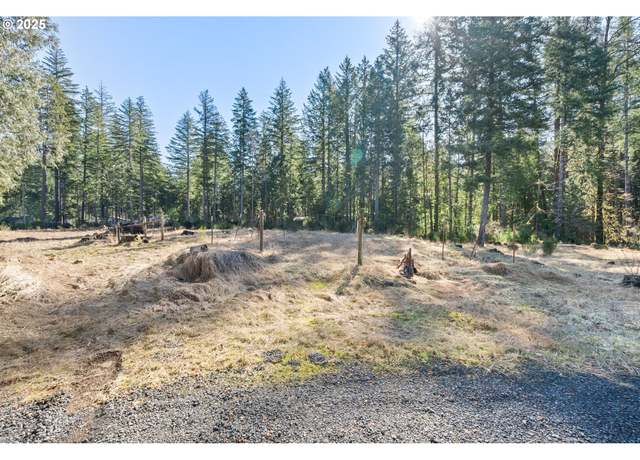 Property at Alma Dr, Mckenzie Bridge, OR 97413