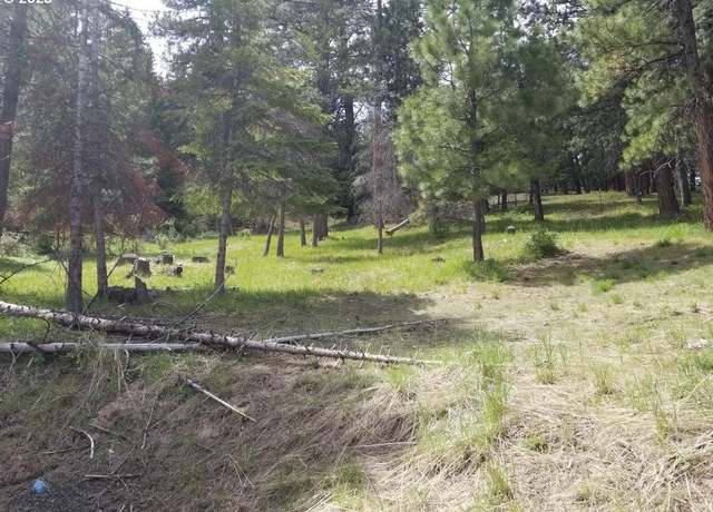 Property at 3300 Blake Ranch Lot 33, Heppner, OR 97836