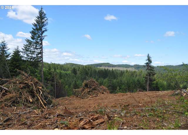 Property at 89975 Sheffler Rd, Elmira, OR 97437