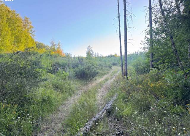 Property at Pittsburg, St. Helens, OR 97051