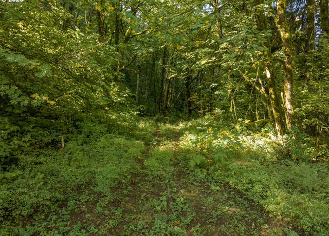 Property at 602 Wildlife Dr, Washougal, WA 98671
