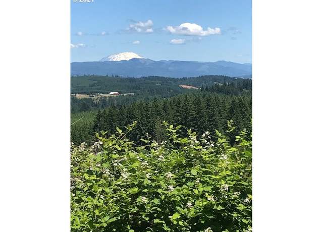 Property at 00 Cater (east) Rd, Warren, OR 97053