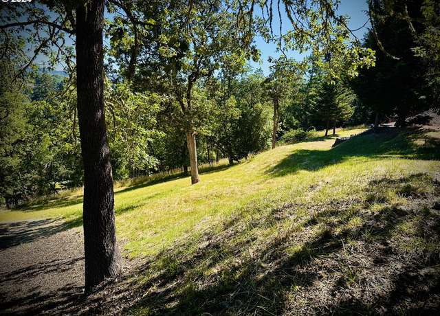 Property at 214 Gray Squirrel Ct, Winchester, OR 97495