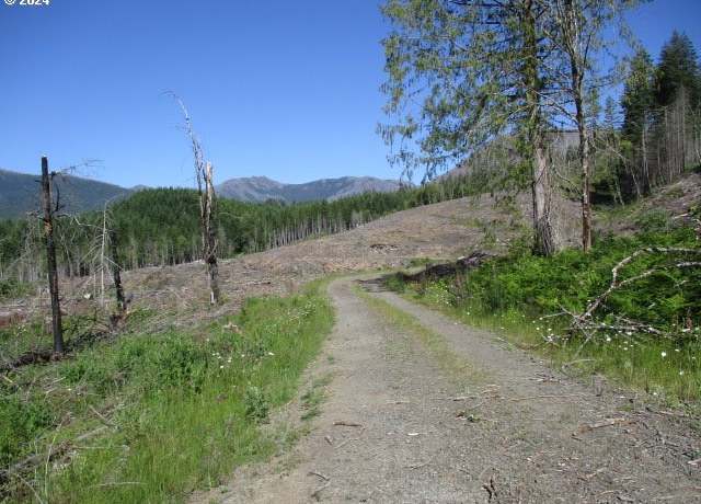 Property at 000 Green Mountain Rd, Gates, OR 97346