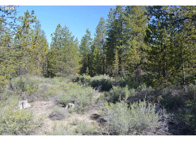 Property at 200 Forest Service Rd, Gilchrist, OR 97737