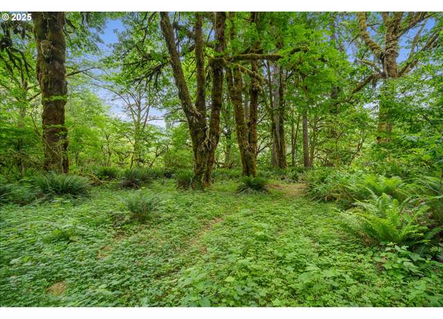 Property at 01000 W Trask River Rd, Tillamook, OR 97141