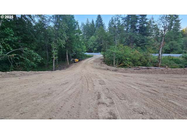 Property at 0 NE Lewisville Hwy, Battle Ground, WA 98604
