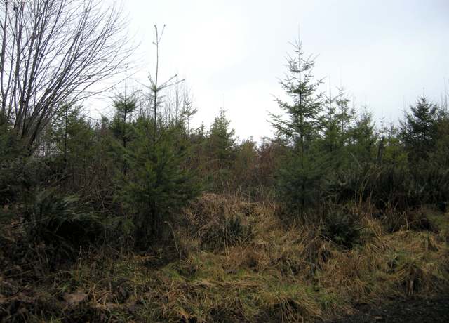 Property at Lost Creek Rd, Clatskanie, OR 97016