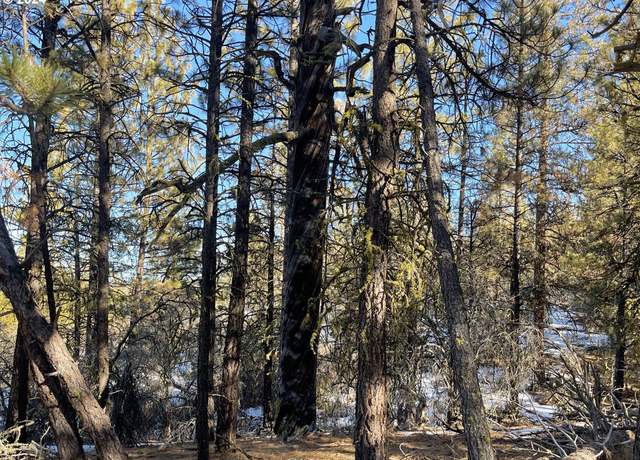 Property at 17 Partin Dr, Beatty, OR 97621
