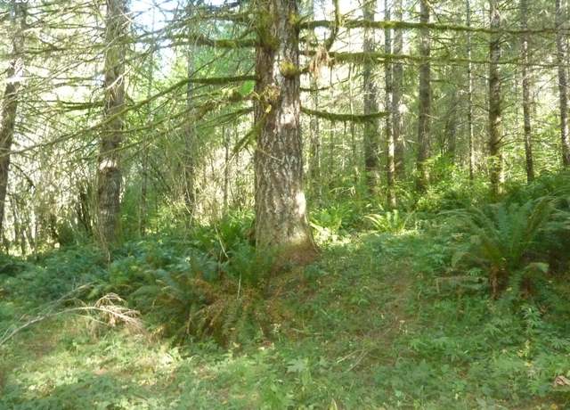 Property at Thompson Rd, Yacolt, WA 98675