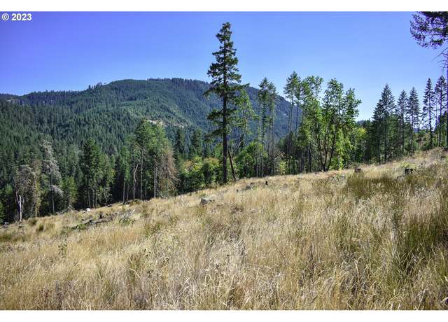 Photo of 0 Rock View Ln, Glide, OR 97443