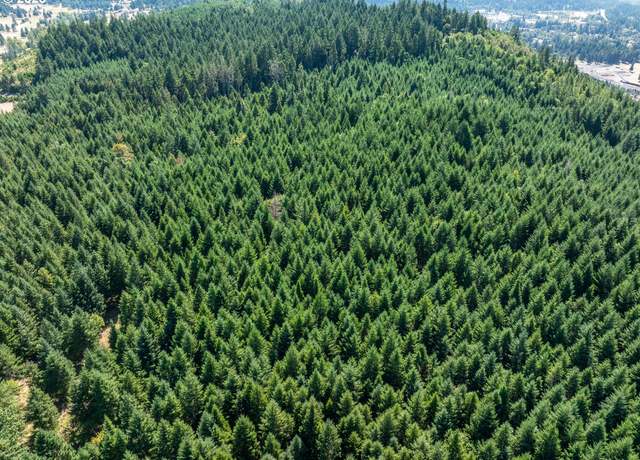 Property at 0 2nd St, Oakridge, OR 97463