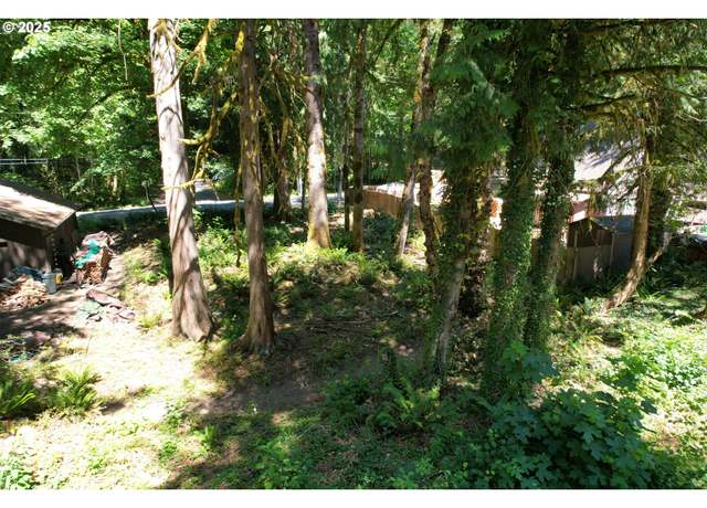 Property at 65065 E Lupine Dr, Rhododendron, OR 97049