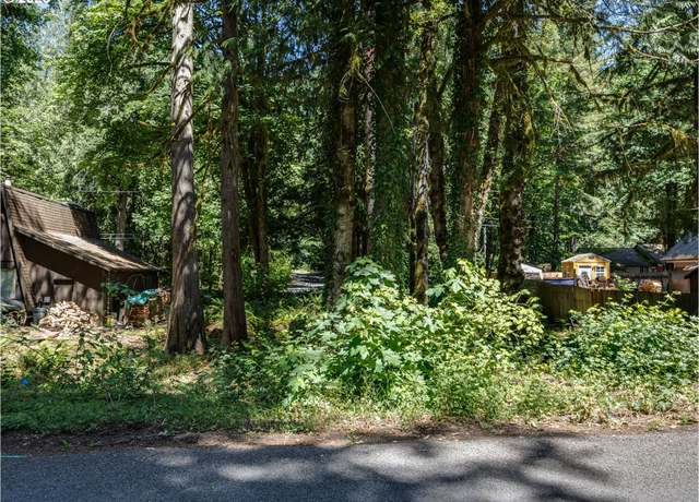 Property at 65065 E Lupine Dr, Rhododendron, OR 97049
