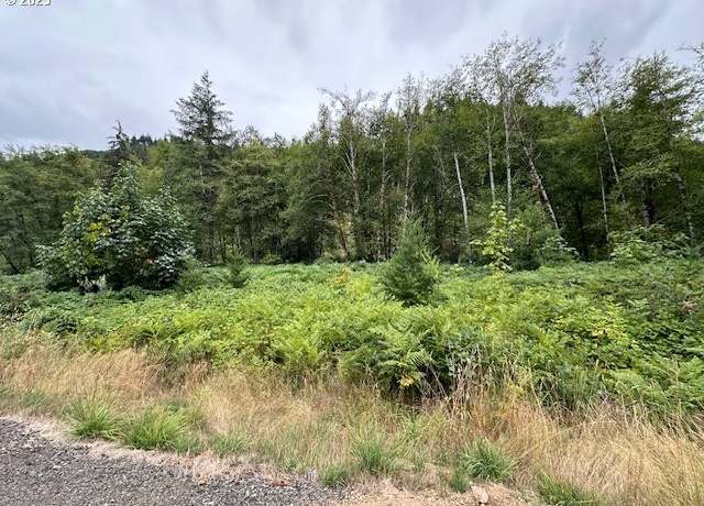 Property at 0 N Dubois Rd, Ariel, WA 98603