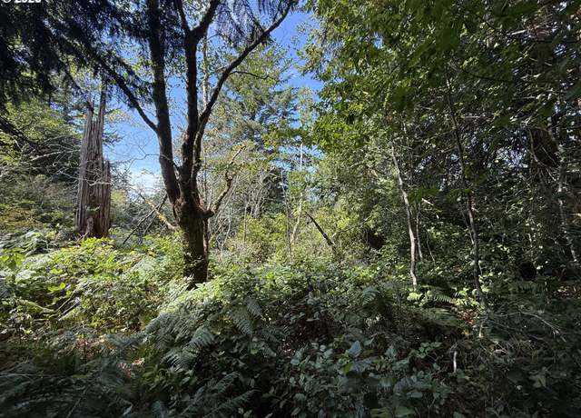 Property at Averill Hill Rd, Port Orford, OR 97465