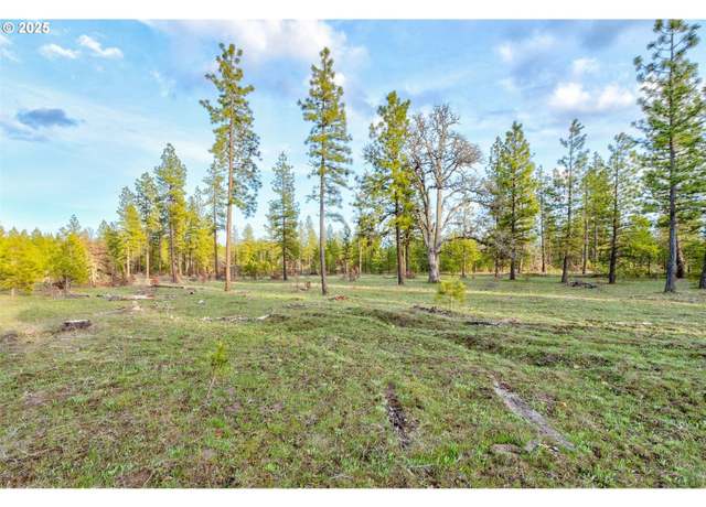 Property at 16 Greyback Mt Rd #16, Goldendale, WA 98620
