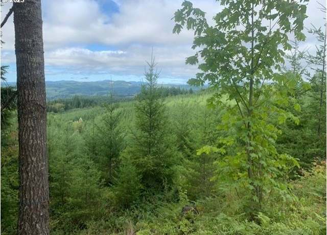 Property at John Lee Rd, Buxton, OR 97109