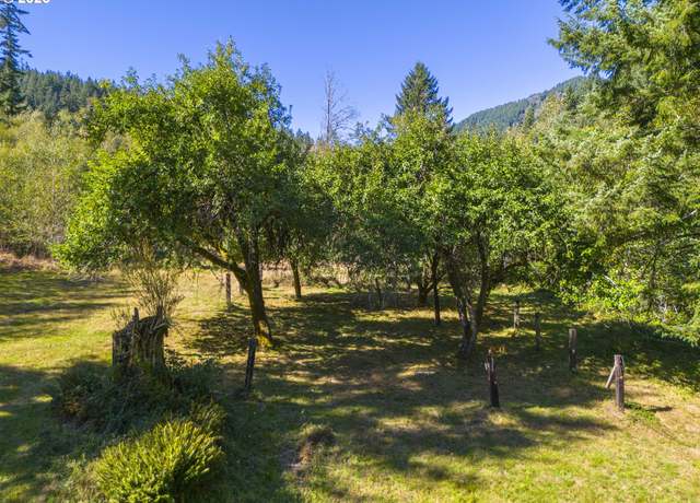 Property at Tin Shack Rd, Nehalem, OR 97131