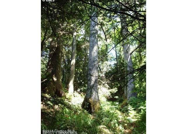 Property at Birch St, Cannon Beach, OR 97110