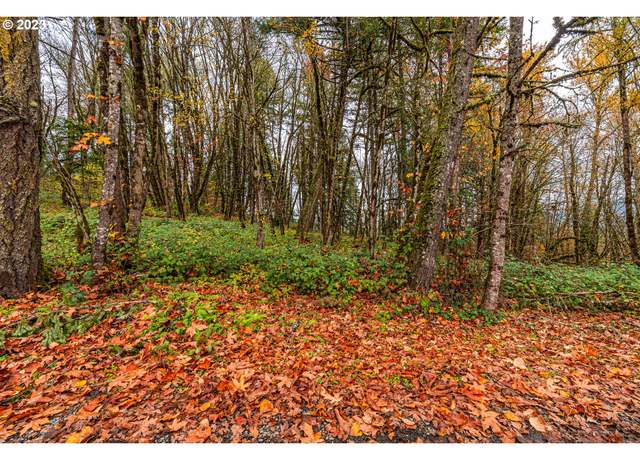 Property at Old Mohawk, Springfield, OR 97478