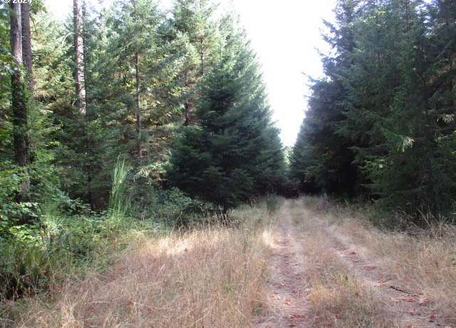 Property at 000 NW Crane (3) Ln, Yamhill, OR 97148