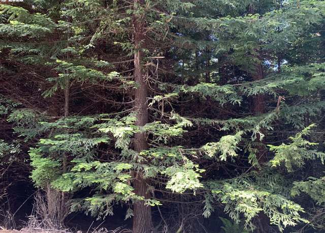 Property at 00 Shelley Rd, Coquille, OR 97423