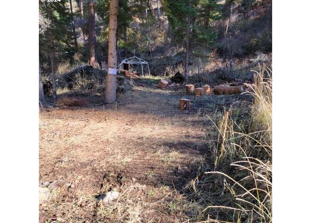 Property at River Canyon Rd Unit TL 900, Imnaha, OR 97842