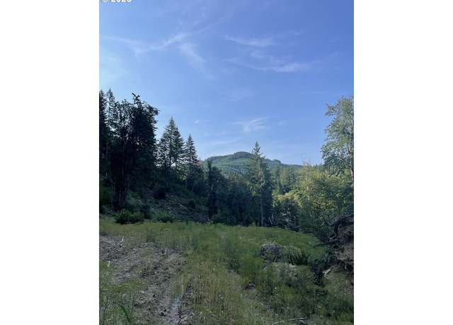 Property at SW Pumpkinseed Rd, Willamina, OR 97396