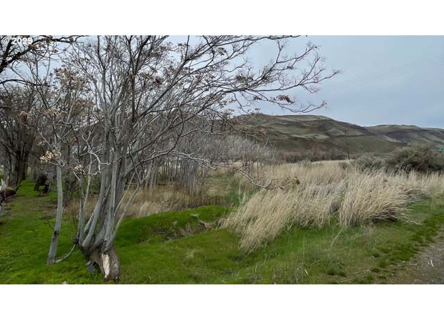 Property at Roosevelt Ave, Roosevelt, WA 99356